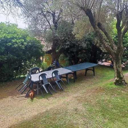 Casa In -